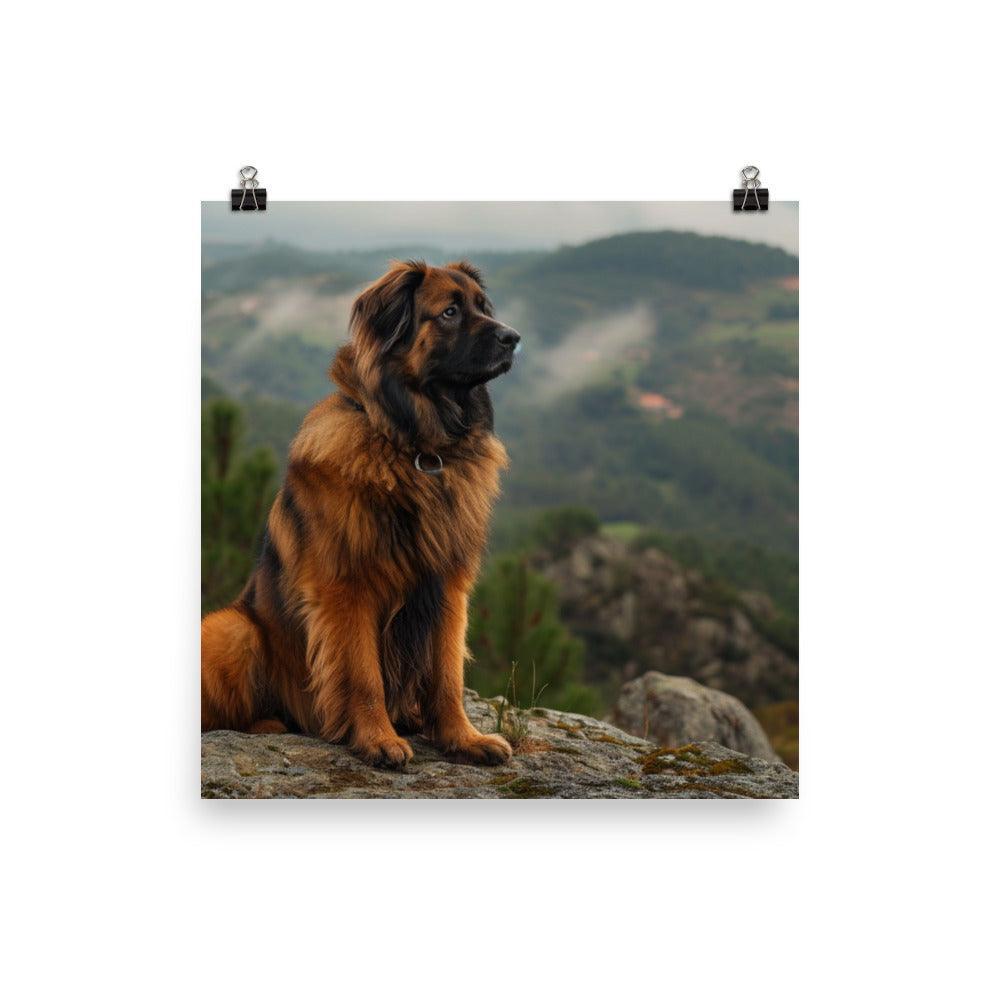 Estrela Mountain Dog Overlooking Valley View Poster - Oh Posters