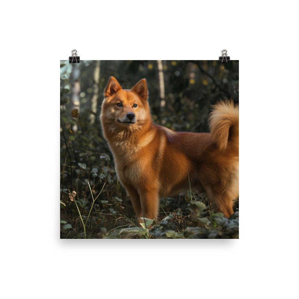 Finnish Spitz Forest Light Photography Poster - Oh Posters