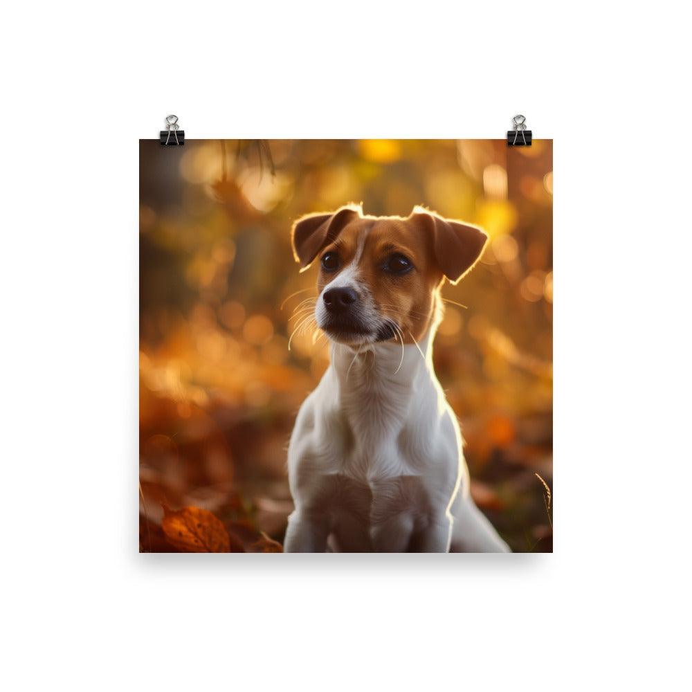 Jack Russell Terrier Autumn Forest Photograph Poster - Oh Posters