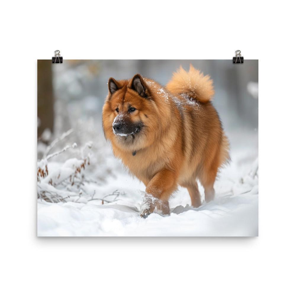 Eurasier Dog Exploring Snowy Landscape Photo Poster - Oh Posters