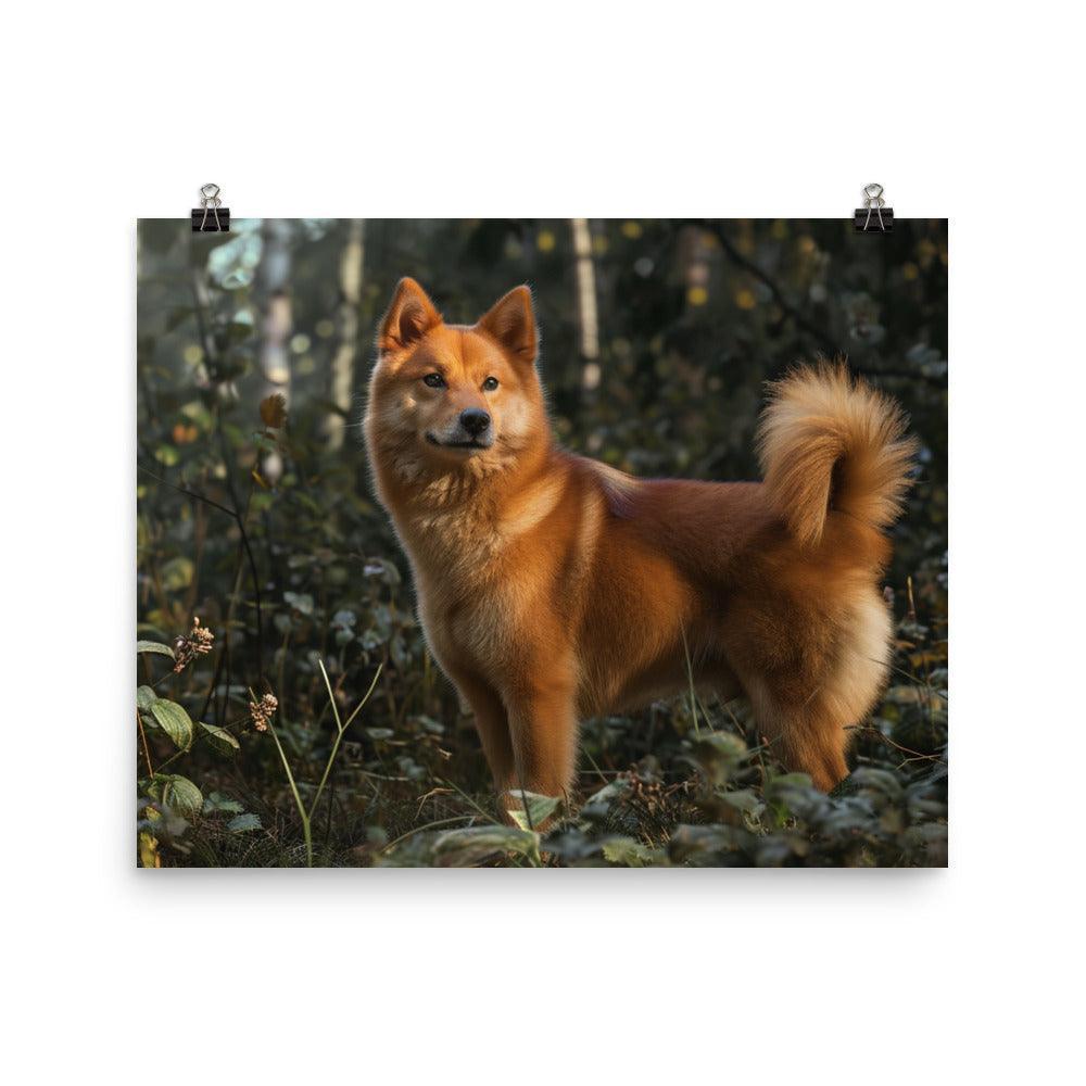 Finnish Spitz Forest Light Photography Poster - Oh Posters