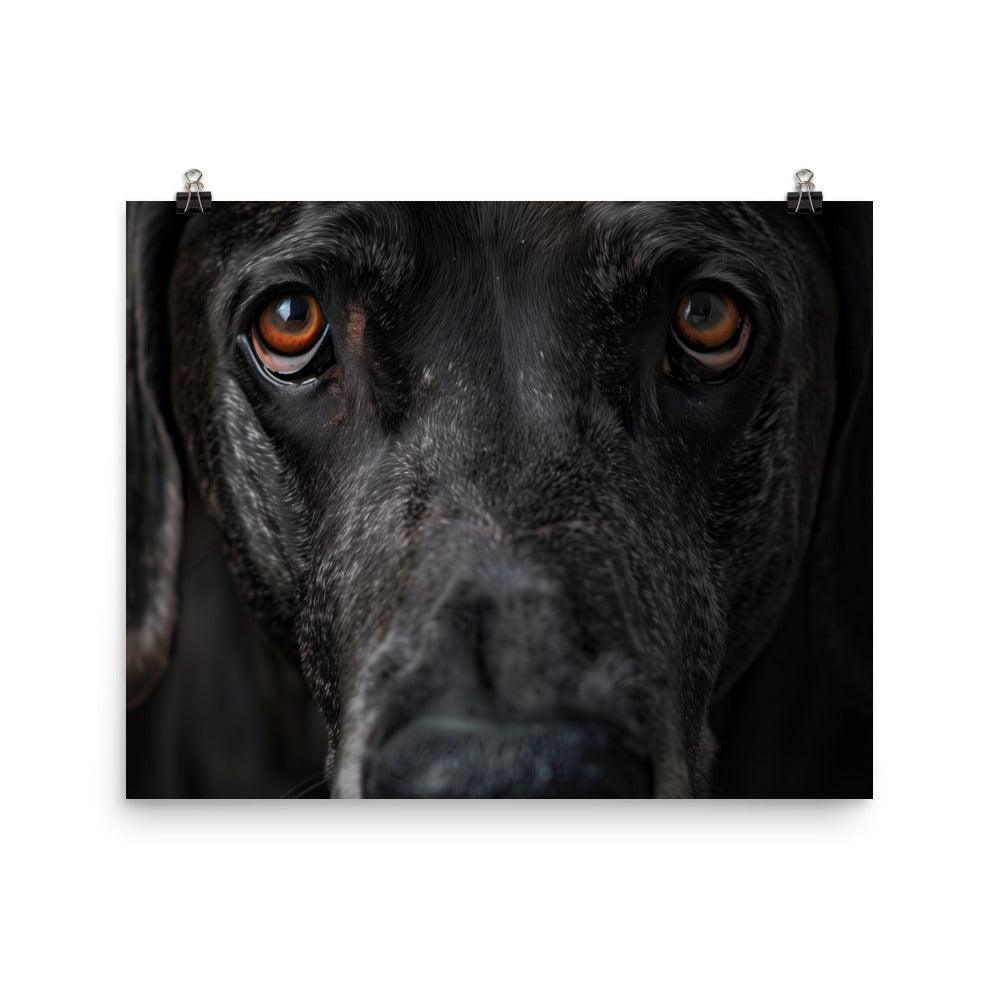 Great Dane Intense Close-Up Portrait Poster - Oh Posters