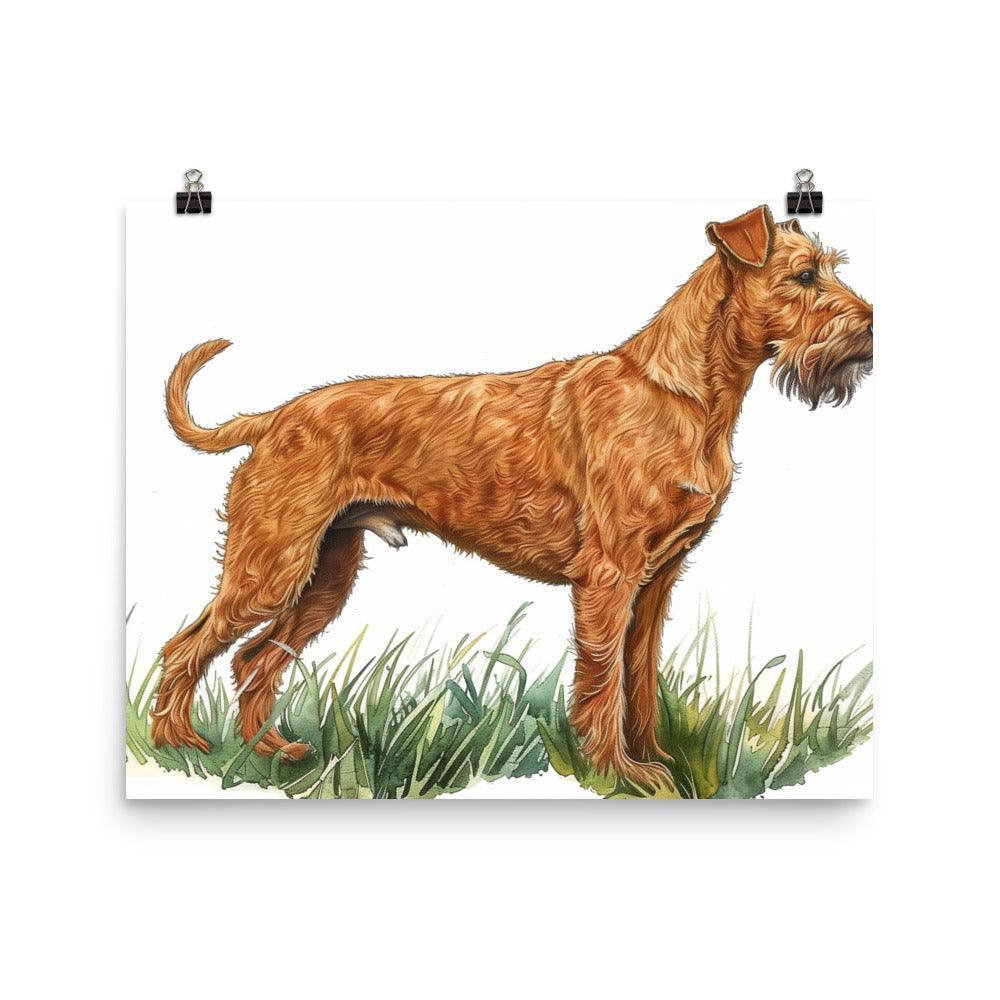 Irish Terrier Detailed Illustration Poster - Oh Posters