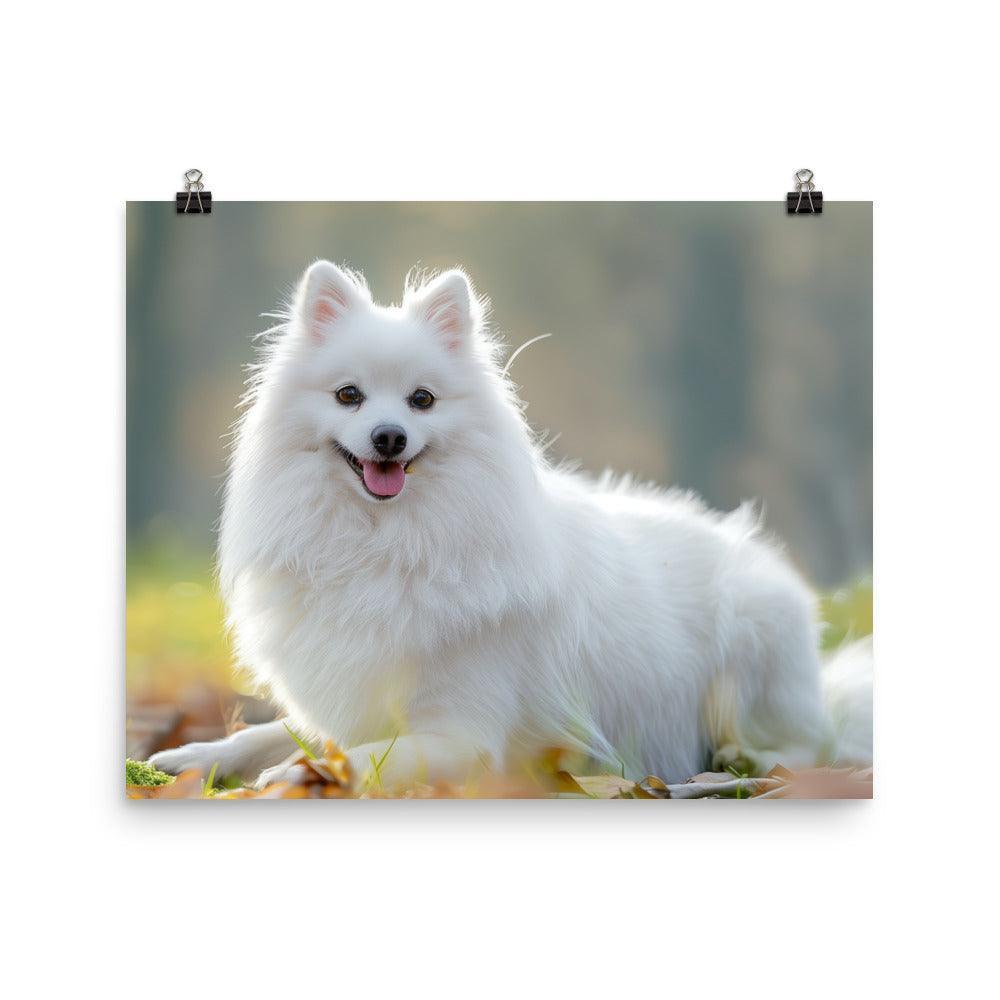 Japanese Spitz in Sunlit Park Photograph Poster - Oh Posters