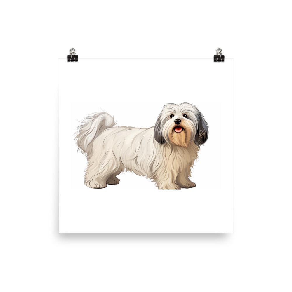 Joyful Coton De Tulear Portrait with Soft Tones and Happy Expression Poster - Oh Posters