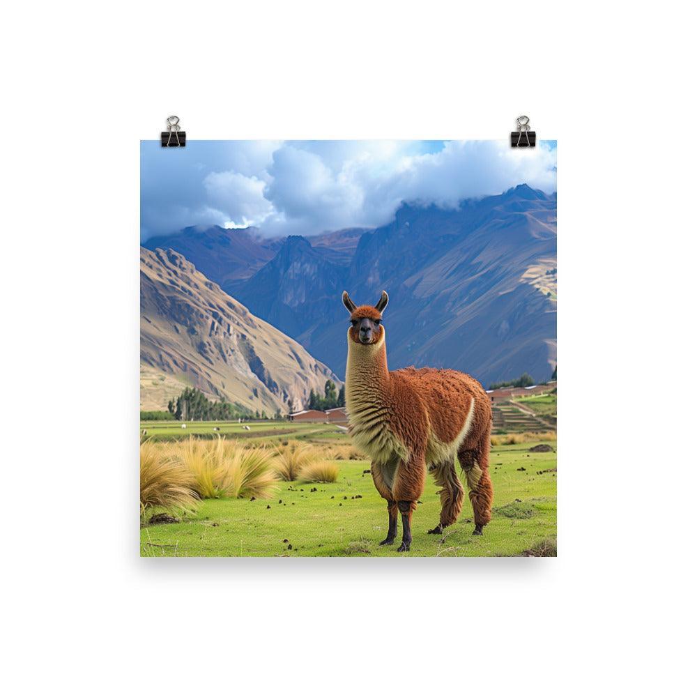 Peru Majestic Llama Andean Landscape Poster - Oh Posters