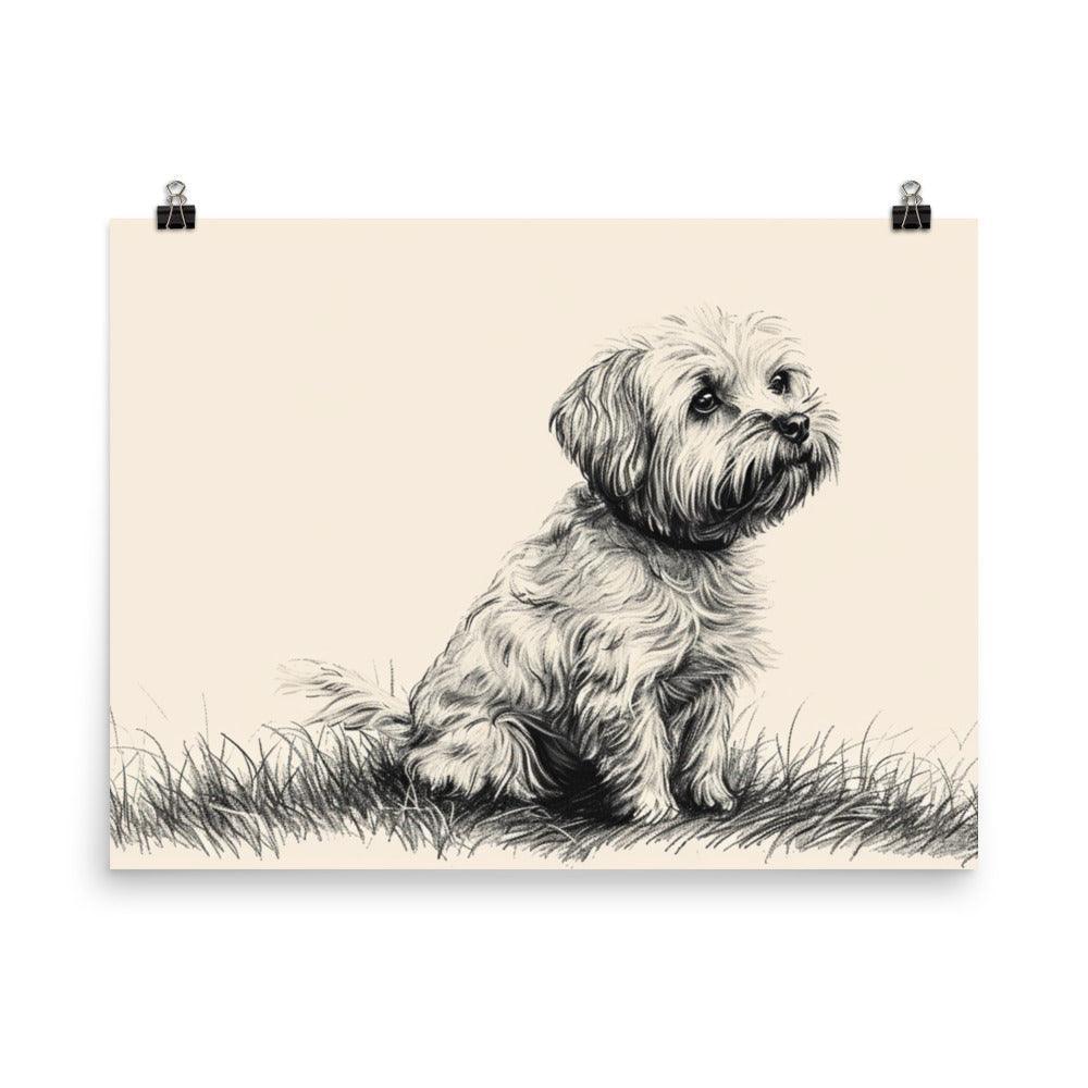 Dandie Dinmont Terrier Pencil Sketch Dog Poster - Oh Posters