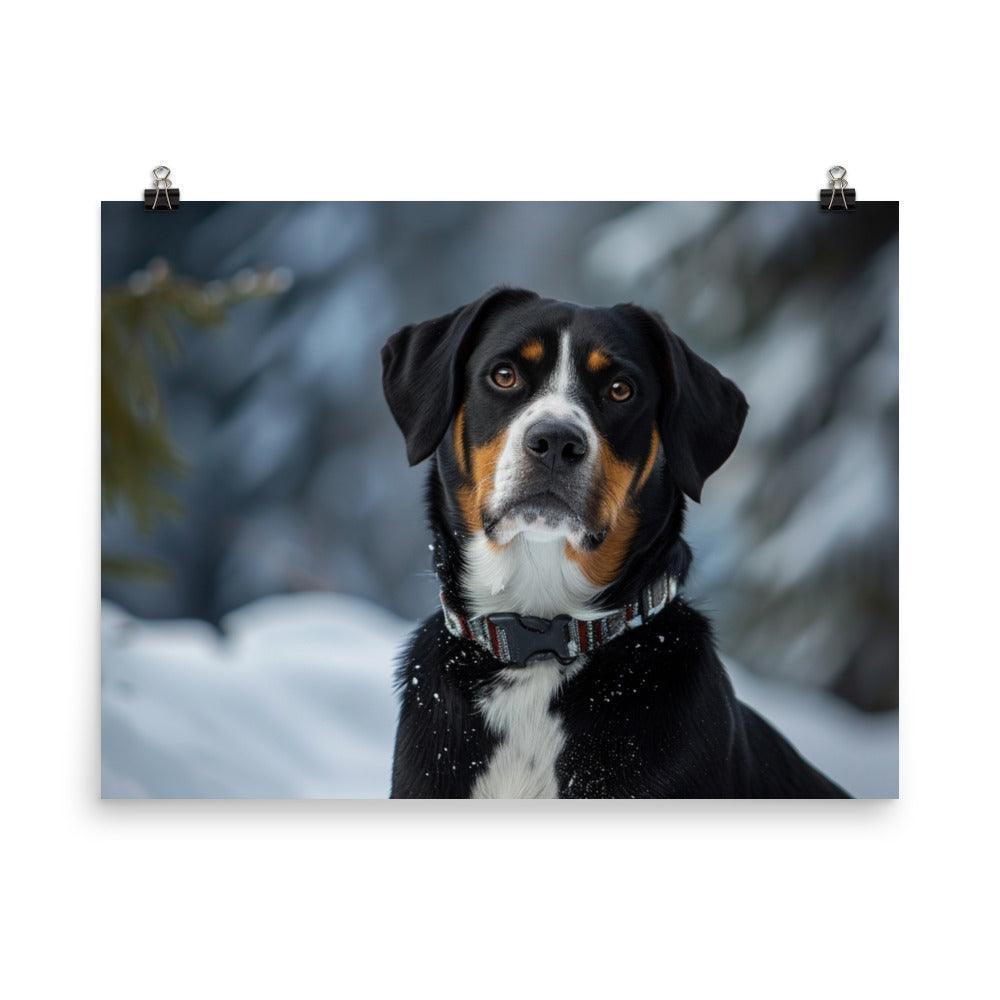 Entlebucher Mountain Dog Winter Snowfall Photo Poster - Oh Posters