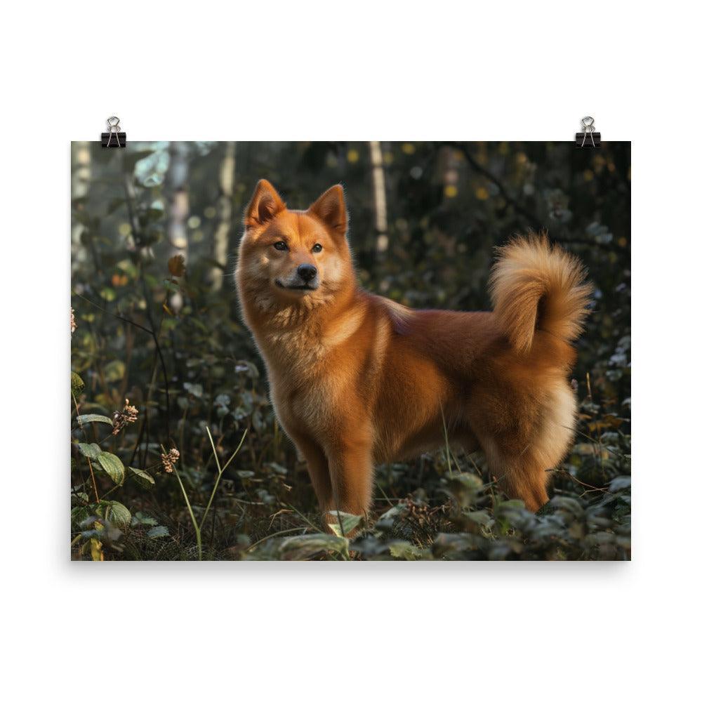 Finnish Spitz Forest Light Photography Poster - Oh Posters