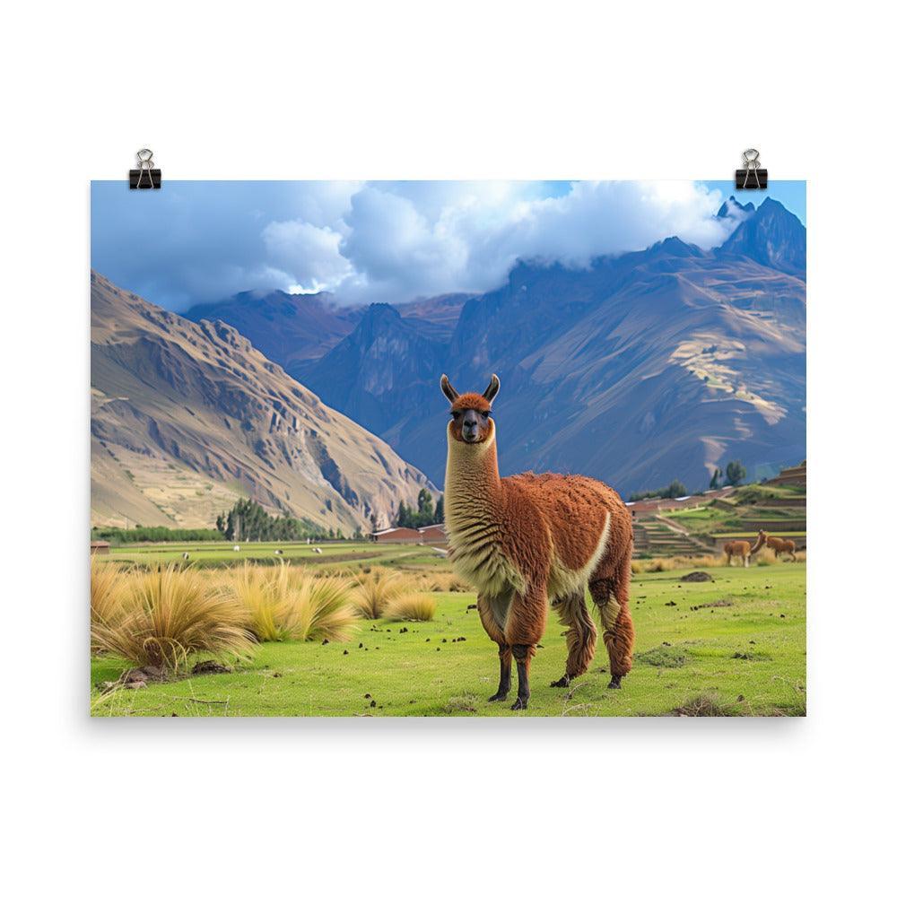 Peru Majestic Llama Andean Landscape Poster - Oh Posters