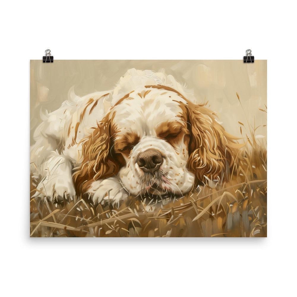 Clumber Spaniel Resting in Field Painting Poster - Oh Posters