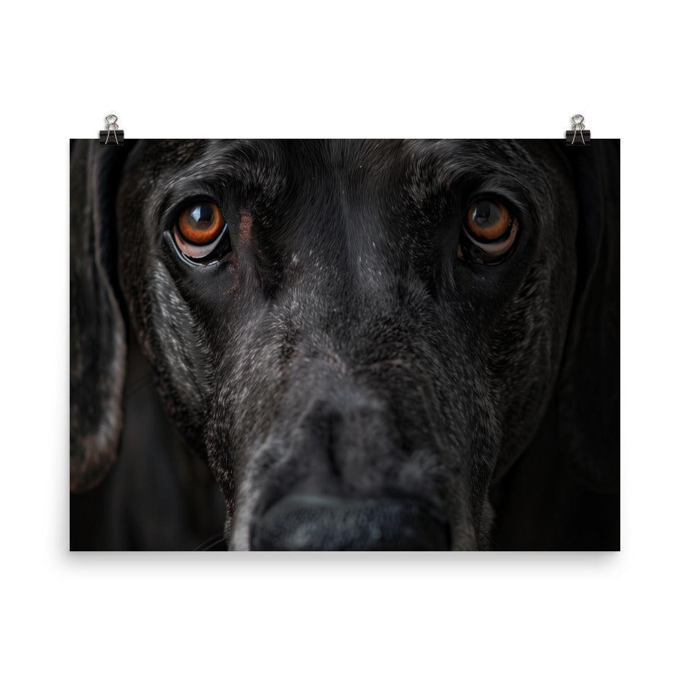 Great Dane Intense Close-Up Portrait Poster - Oh Posters