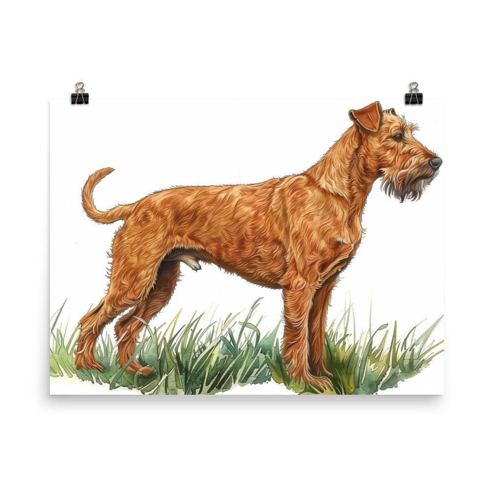 Irish Terrier Detailed Illustration Poster - Oh Posters