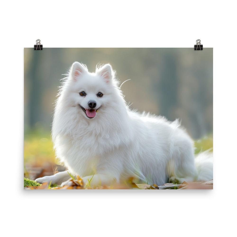 Japanese Spitz in Sunlit Park Photograph Poster - Oh Posters