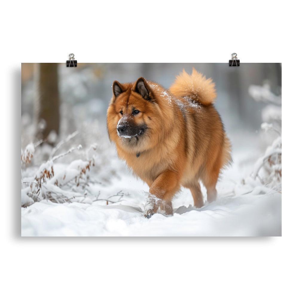 Eurasier Dog Exploring Snowy Landscape Photo Poster - Oh Posters