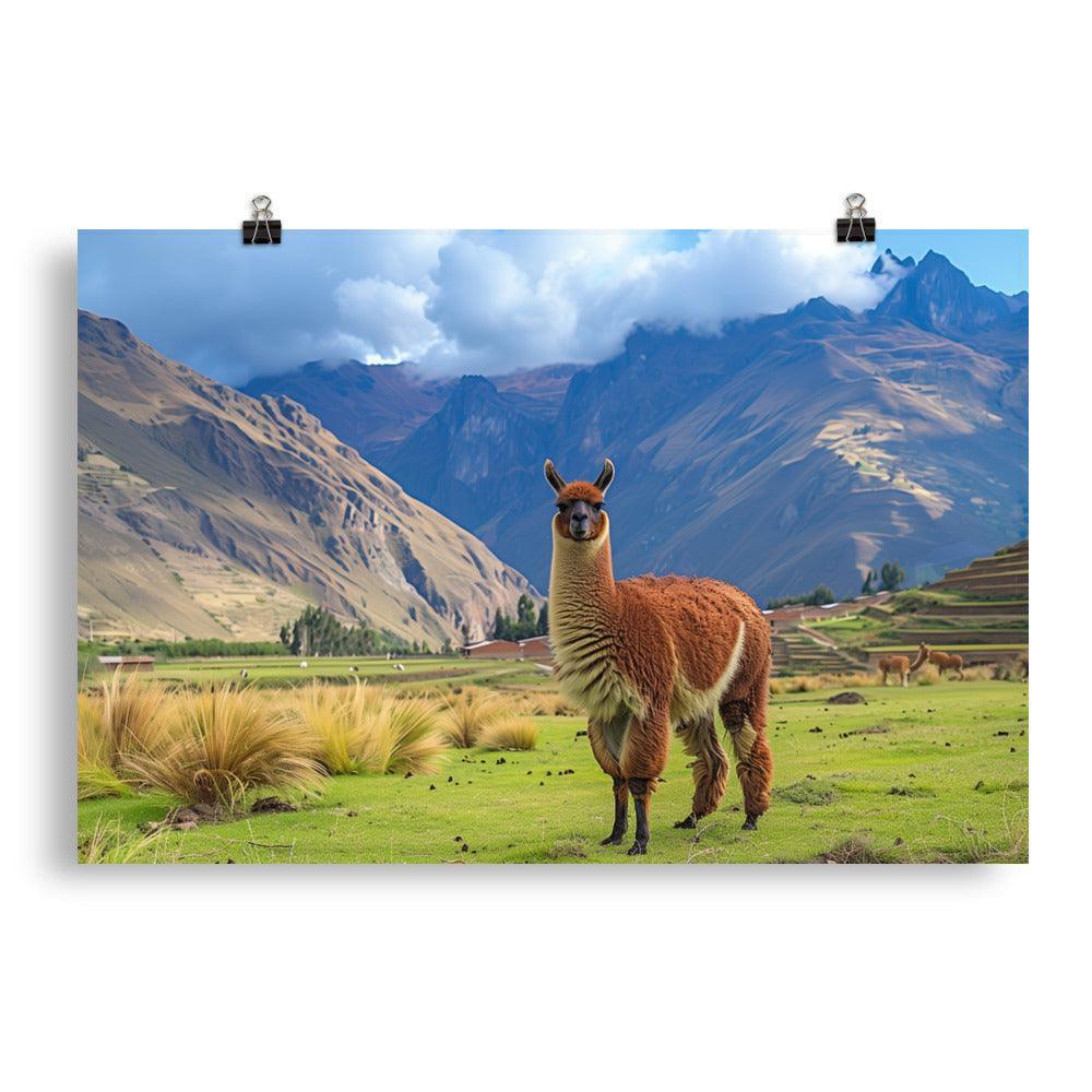 Peru Majestic Llama Andean Landscape Poster - Oh Posters