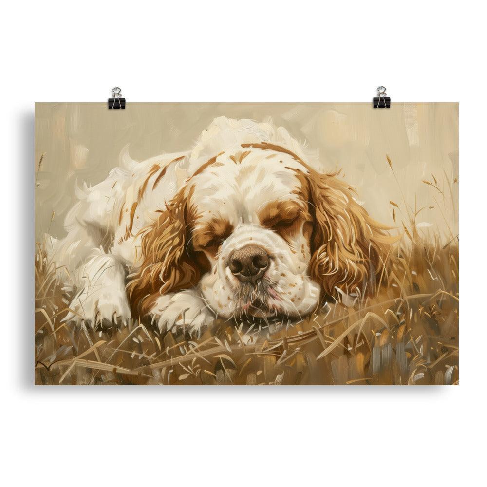 Clumber Spaniel Resting in Field Painting Poster - Oh Posters