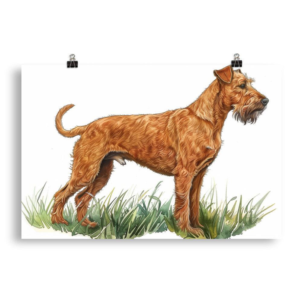 Irish Terrier Detailed Illustration Poster - Oh Posters