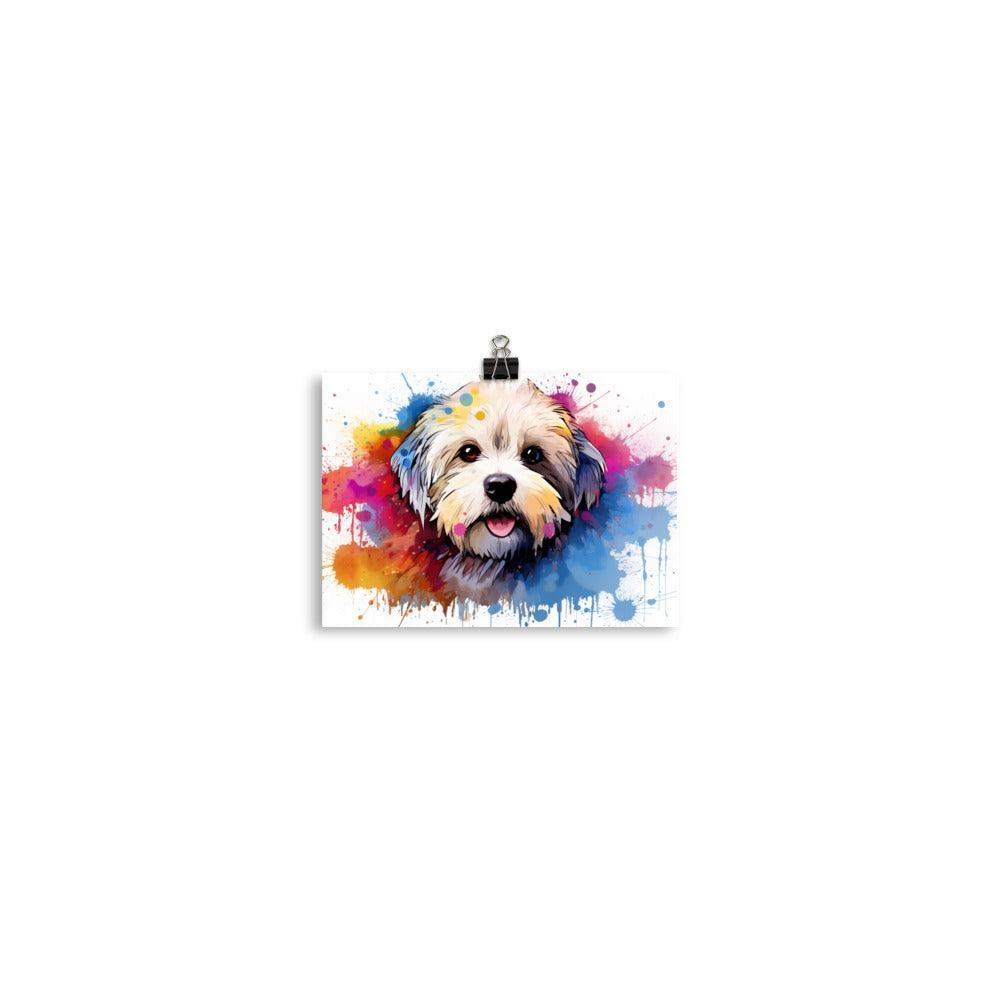 Coton De Tulear Playful Watercolor Splatter Portrait Poster - Oh Posters