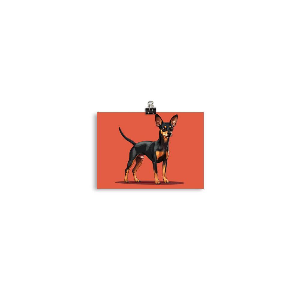 Vibrant English Toy Terrier Portrait on Red Poster - Oh Posters