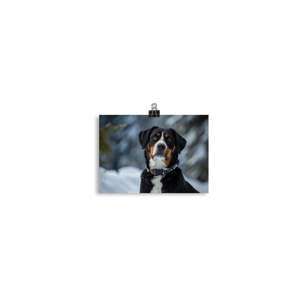 Entlebucher Mountain Dog Winter Snowfall Photo Poster - Oh Posters