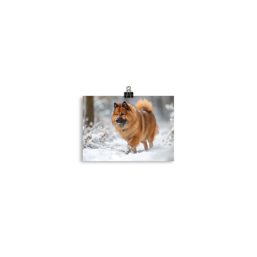 Eurasier Dog Exploring Snowy Landscape Photo Poster - Oh Posters