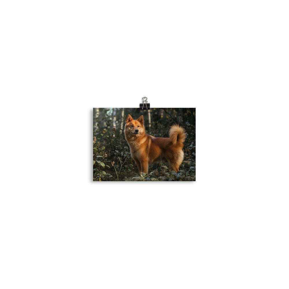 Finnish Spitz Forest Light Photography Poster - Oh Posters