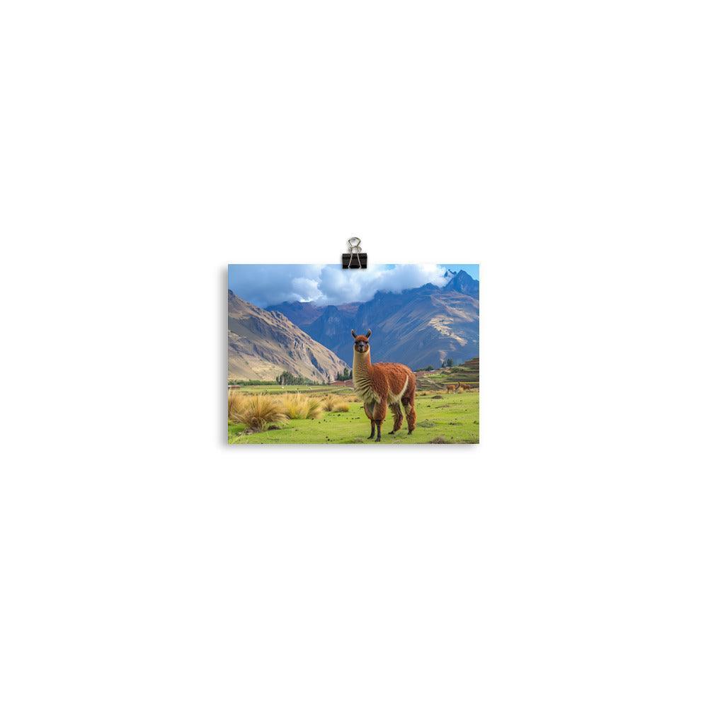 Peru Majestic Llama Andean Landscape Poster - Oh Posters