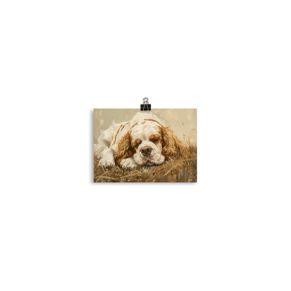 Clumber Spaniel Resting in Field Painting Poster - Oh Posters