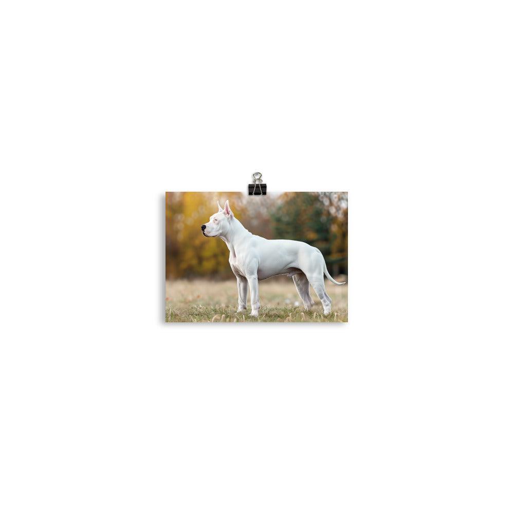 Dogo Argentino Standing in Autumn Field Portrait Poster - Oh Posters