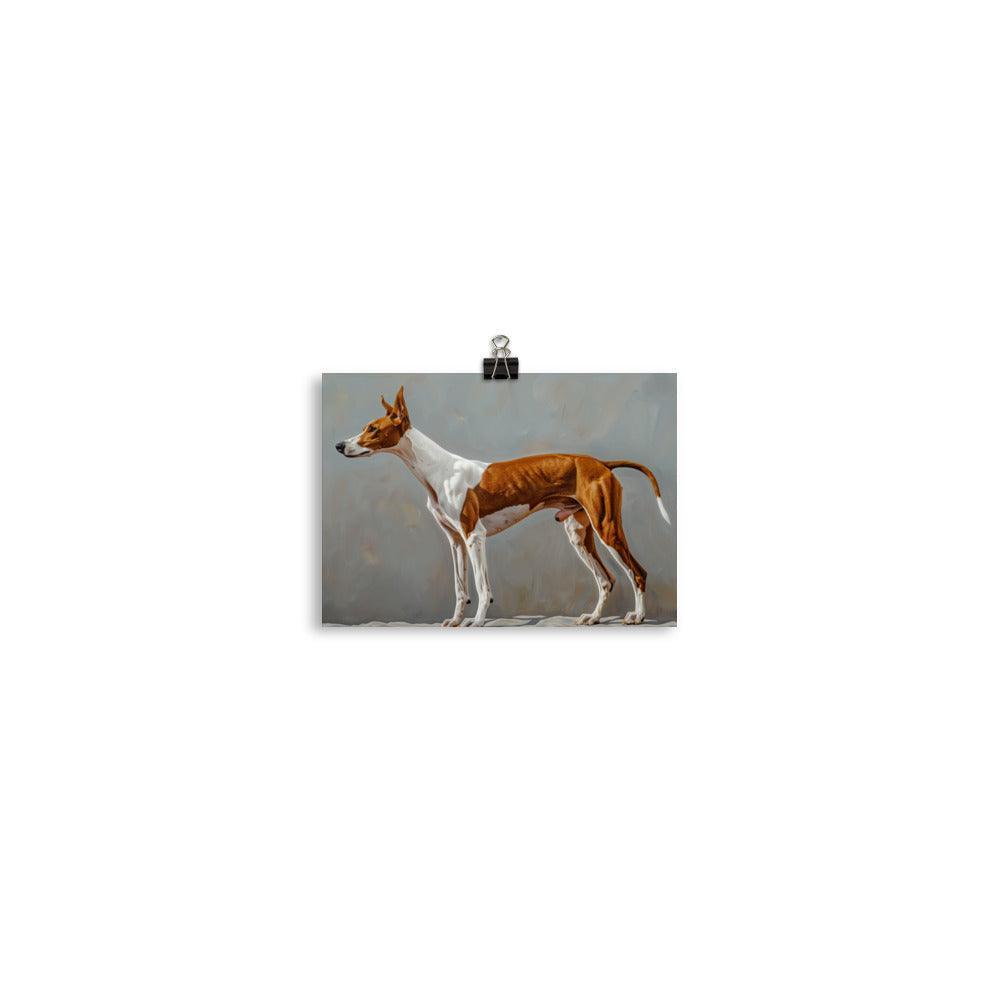 Ibizan Hound Side Profile Painting Poster - Oh Posters