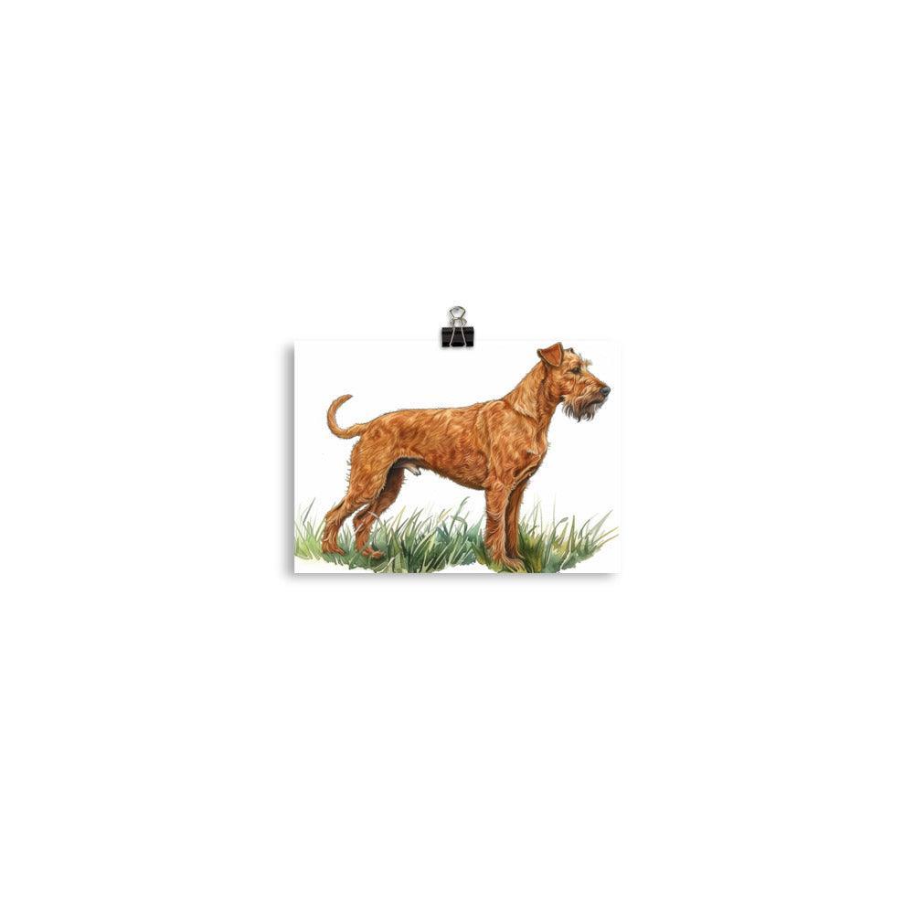 Irish Terrier Detailed Illustration Poster - Oh Posters