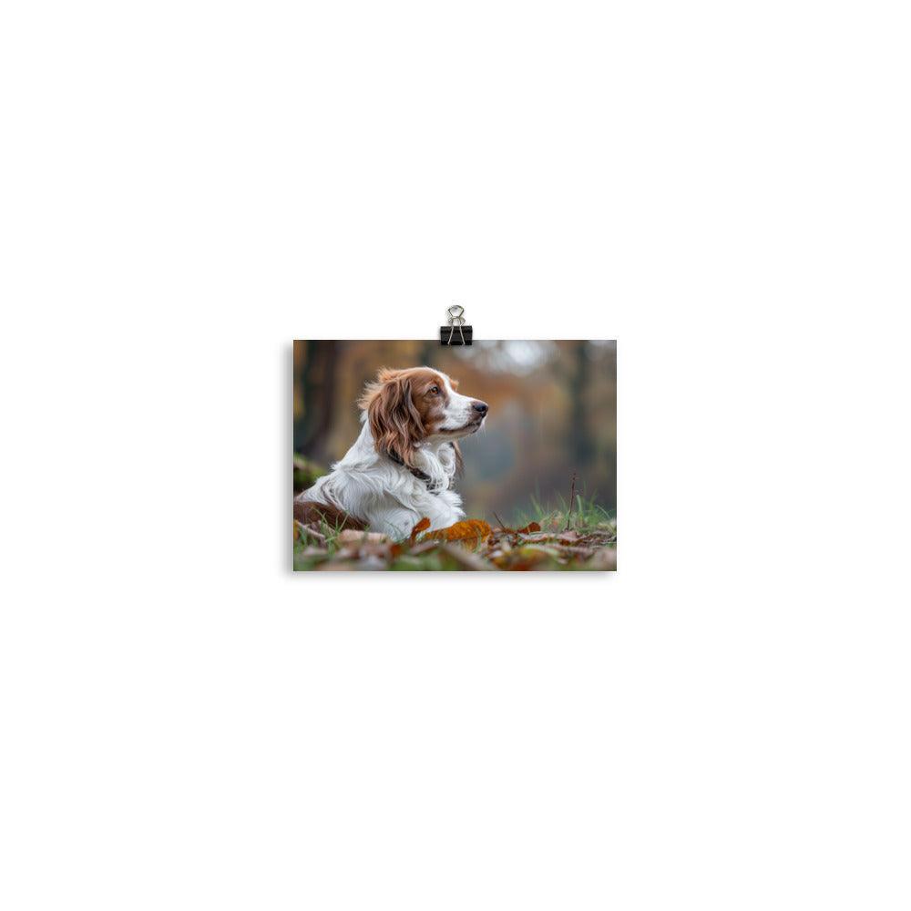 Kooikerhondje Resting in Autumn Leaves Photograph Poster - Oh Posters