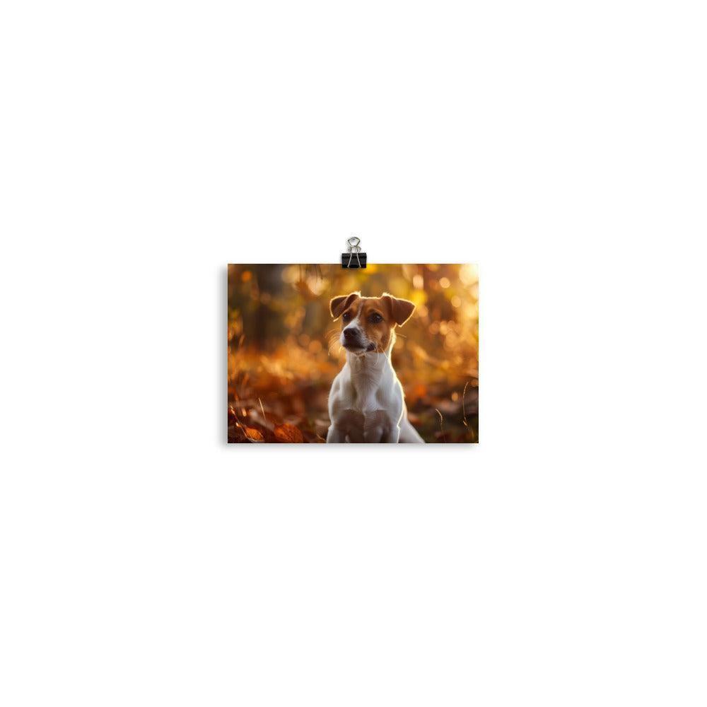 Jack Russell Terrier Autumn Forest Photograph Poster - Oh Posters