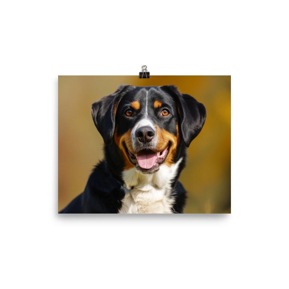 Entlebucher Mountain Dog Portrait Sunshine Poster - Oh Posters