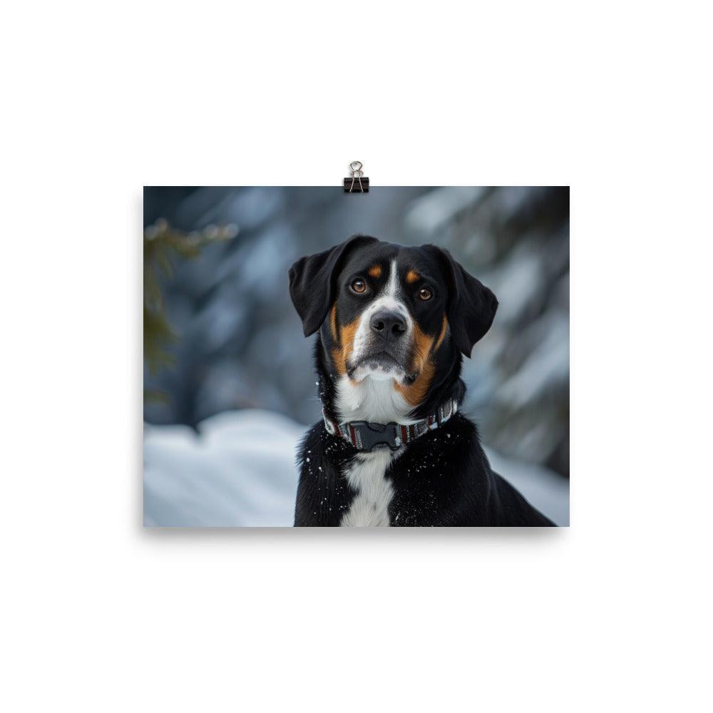 Entlebucher Mountain Dog Winter Snowfall Photo Poster - Oh Posters