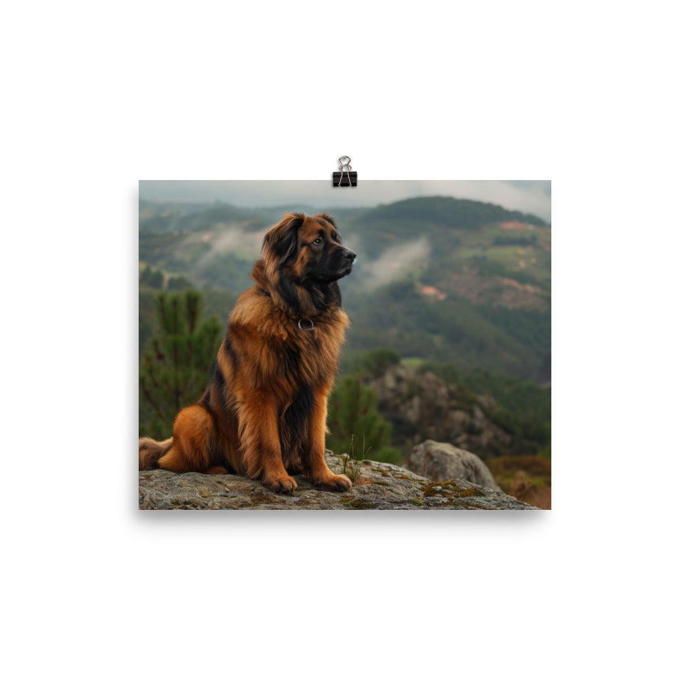 Estrela Mountain Dog Overlooking Valley View Poster - Oh Posters