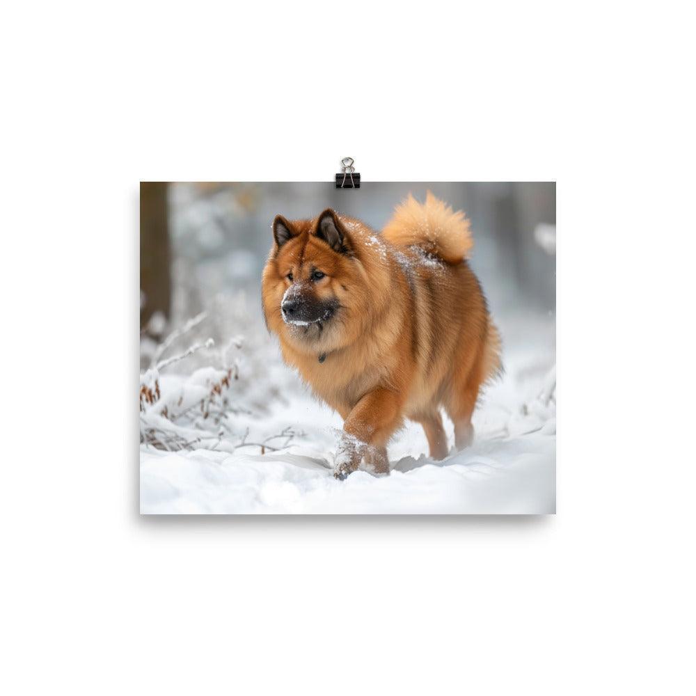 Eurasier Dog Exploring Snowy Landscape Photo Poster - Oh Posters