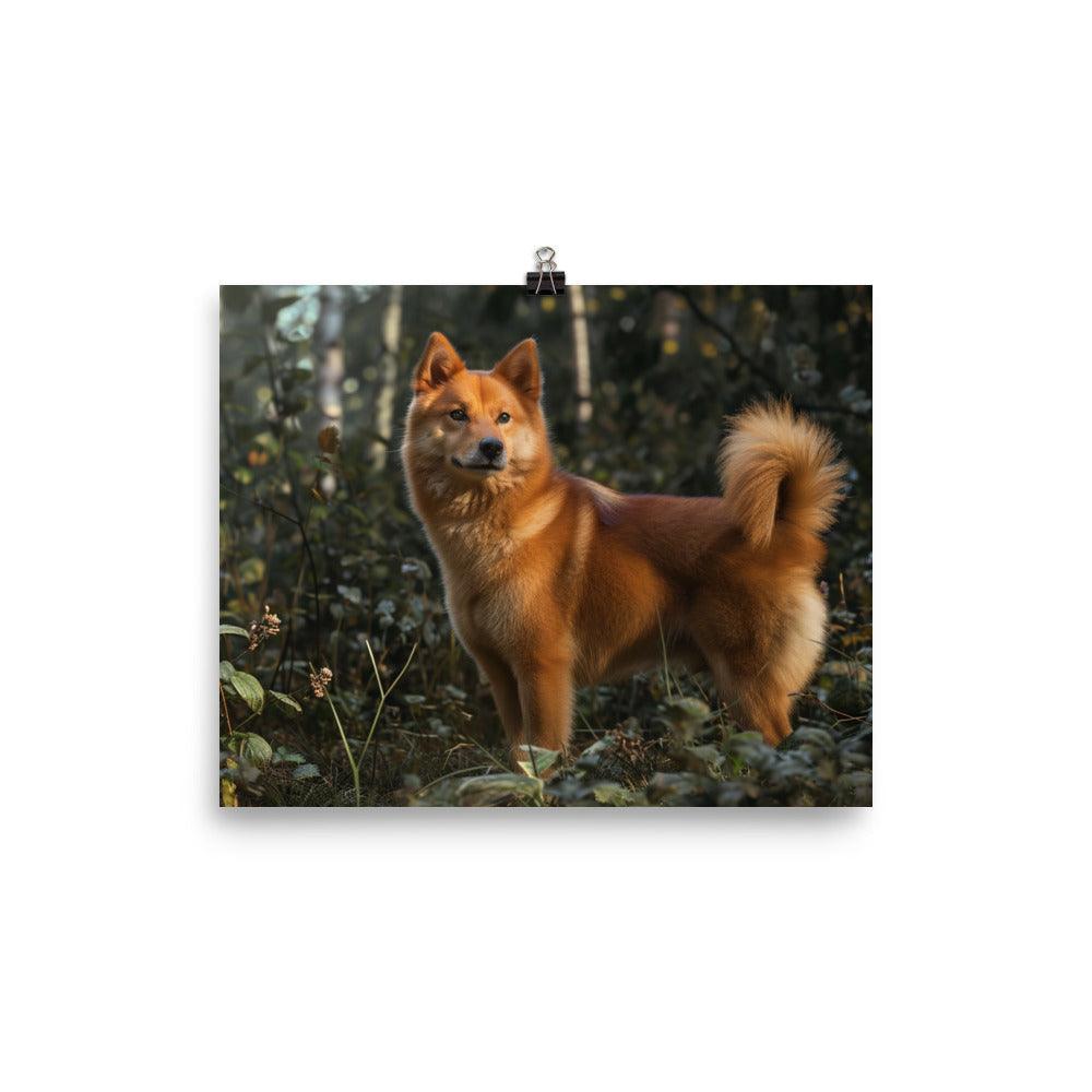 Finnish Spitz Forest Light Photography Poster - Oh Posters