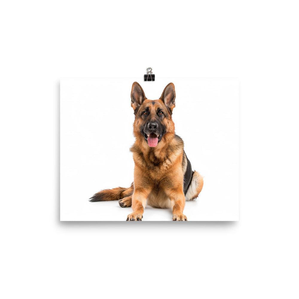 German Shepherd Studio Photograph Poster - Oh Posters