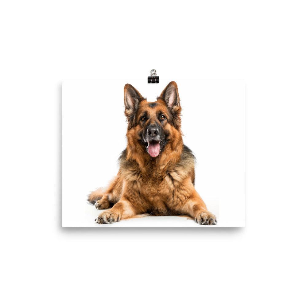 German Shepherd Smiling Studio Photo Poster - Oh Posters