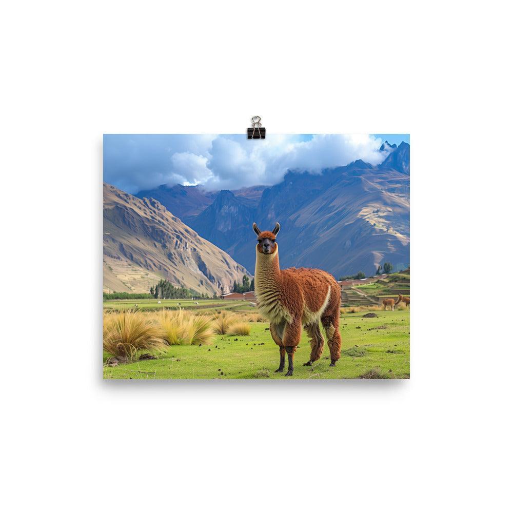 Peru Majestic Llama Andean Landscape Poster - Oh Posters