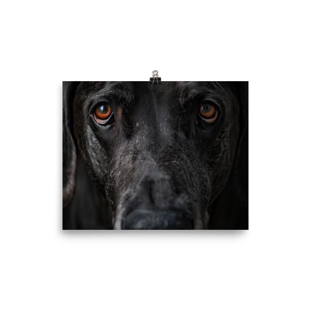 Great Dane Intense Close-Up Portrait Poster - Oh Posters