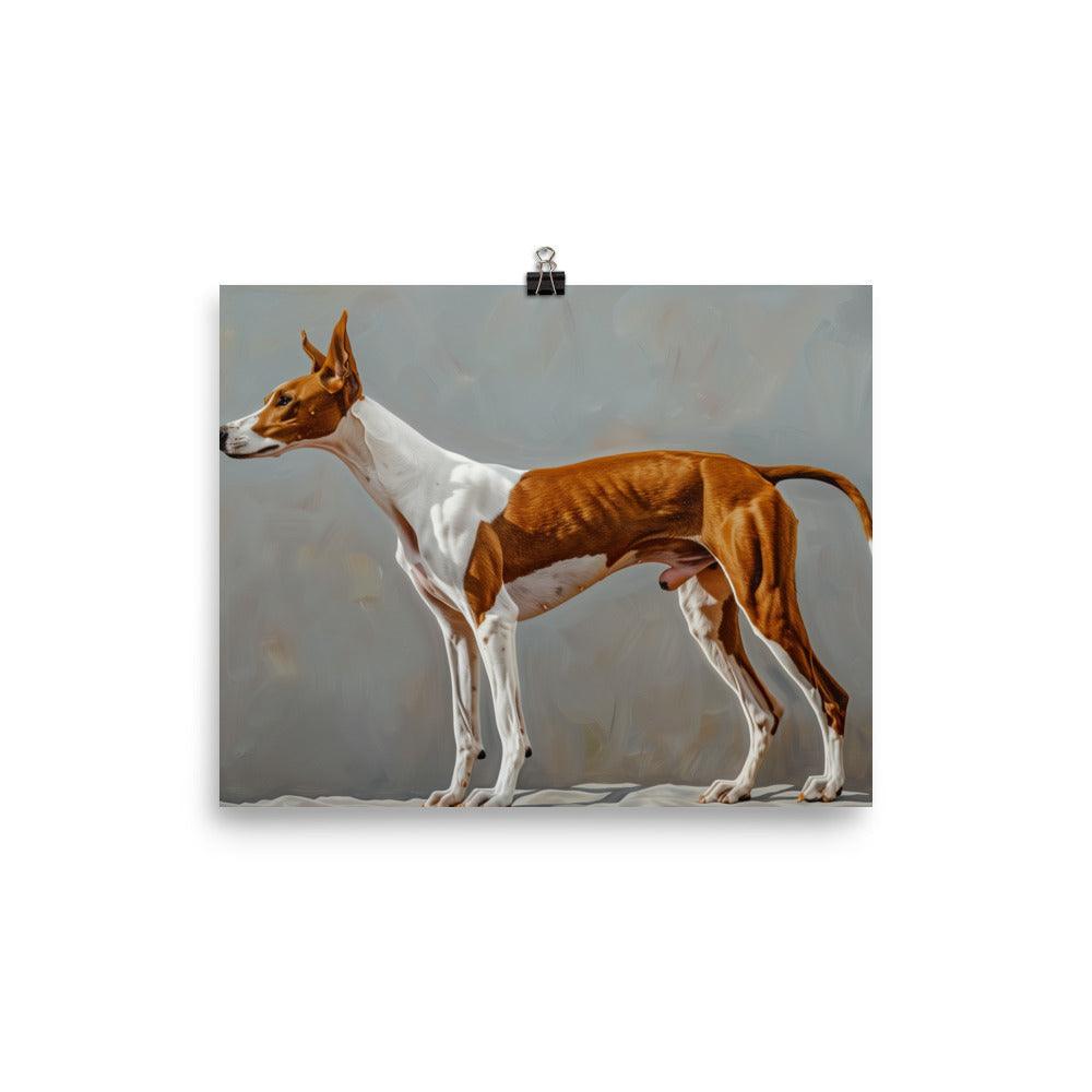 Ibizan Hound Side Profile Painting Poster - Oh Posters