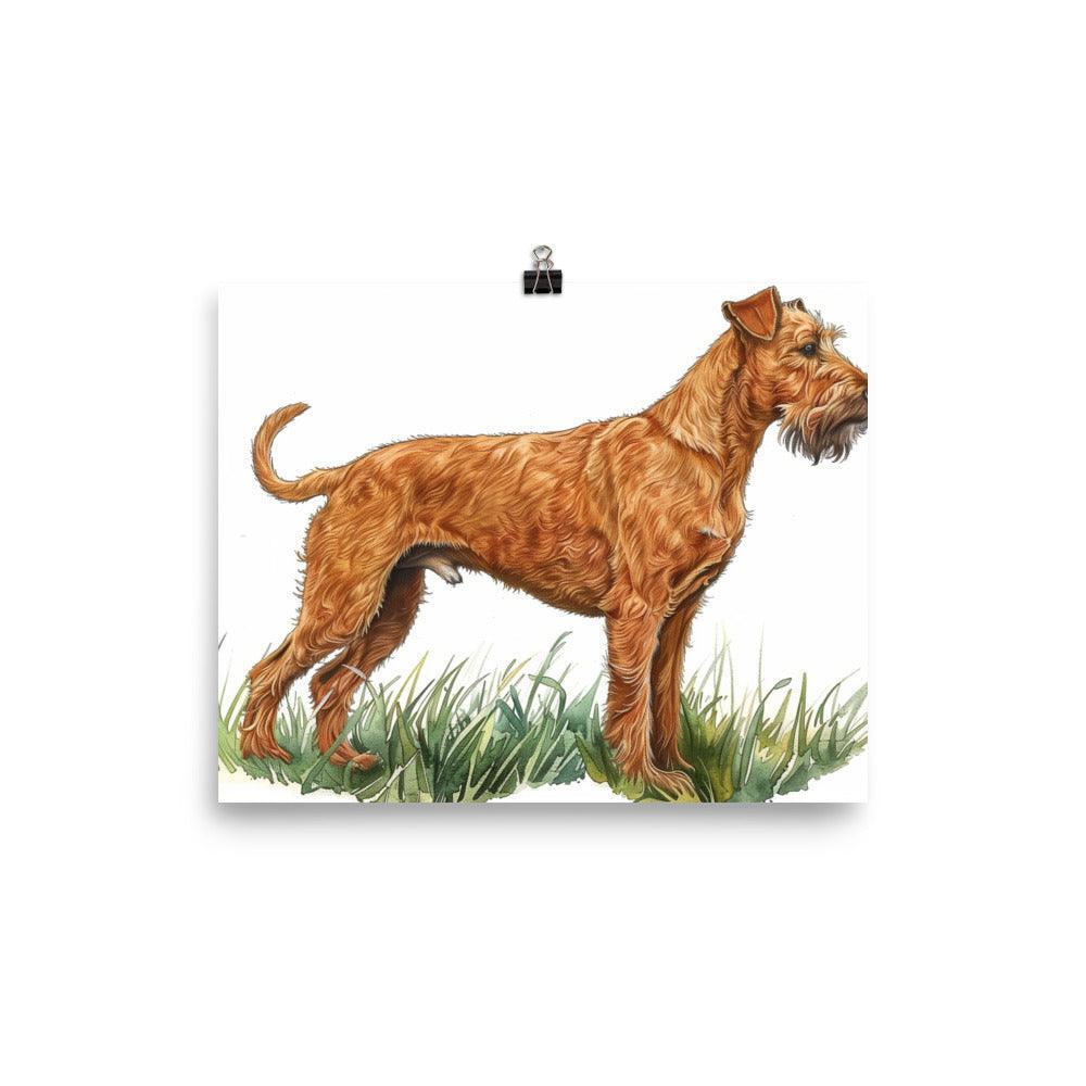 Irish Terrier Detailed Illustration Poster - Oh Posters