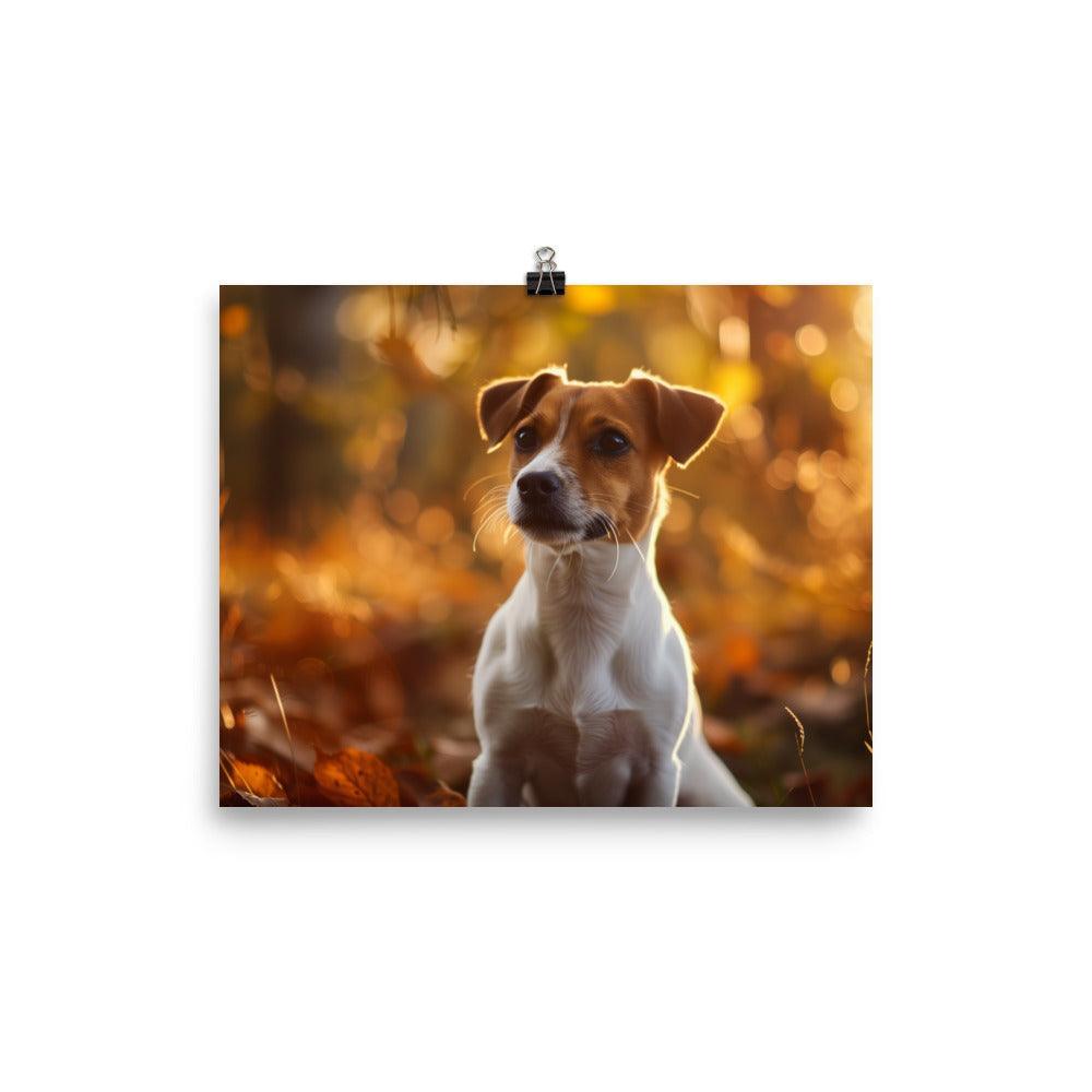 Jack Russell Terrier Autumn Forest Photograph Poster - Oh Posters