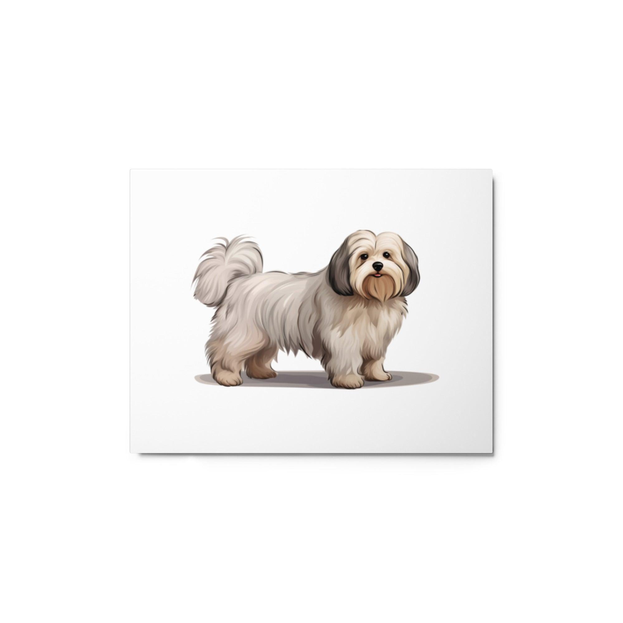 Coton De Tulear Dog Illustration with Detailed Fur Texture Metal Poster - Oh Posters