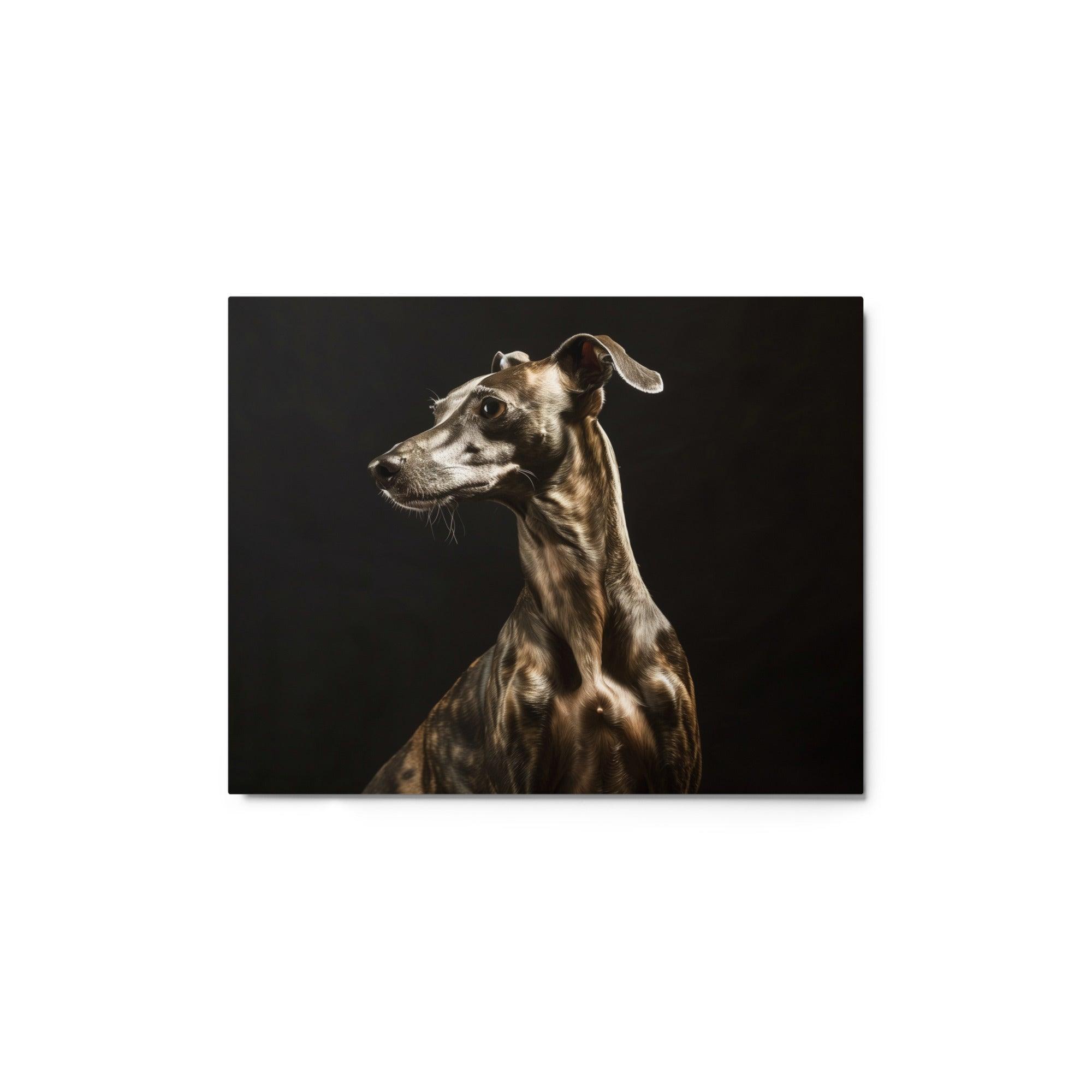 Italian Greyhound in Dramatic Lighting Studio Metal Poster - Oh Posters