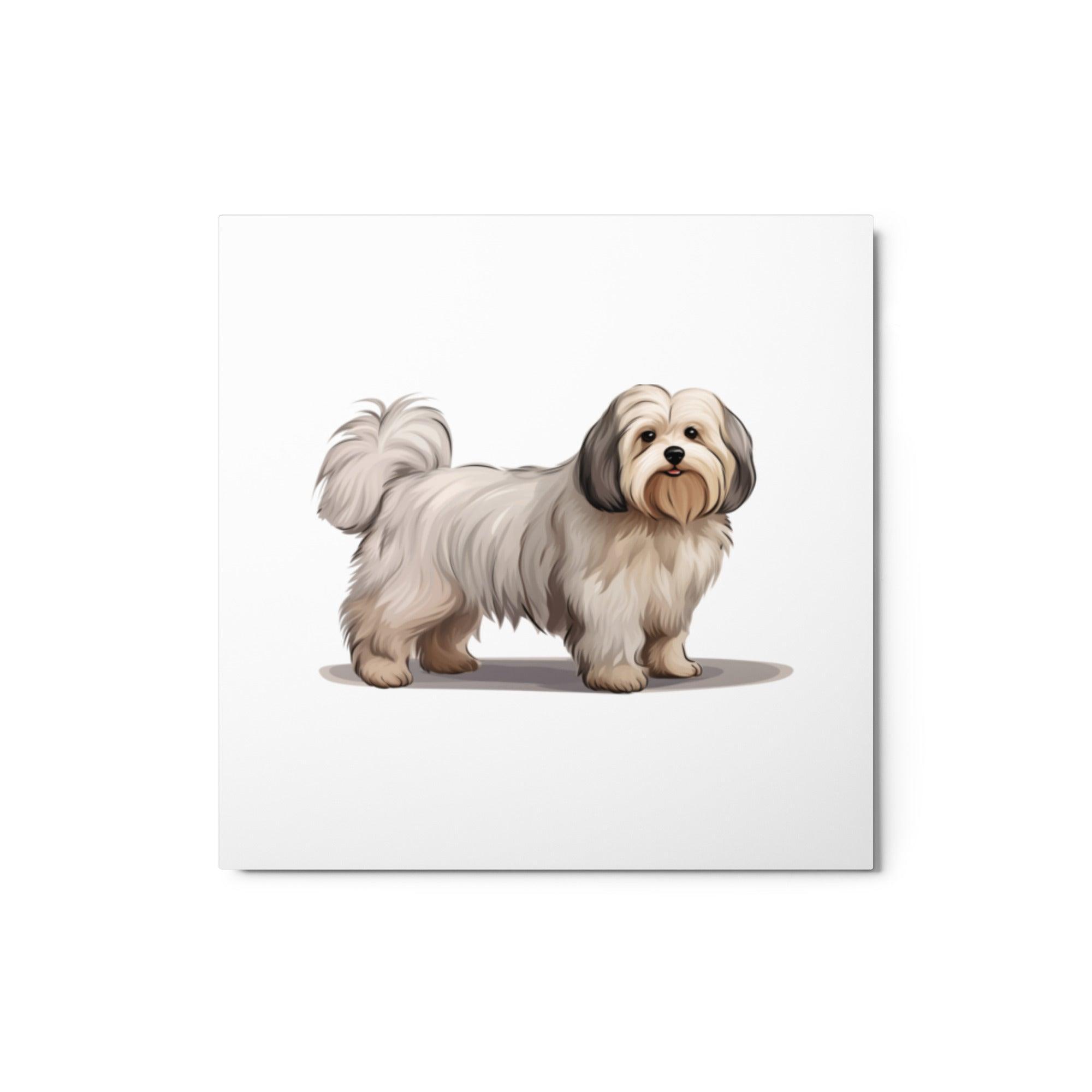 Coton De Tulear Dog Illustration with Detailed Fur Texture Metal Poster - Oh Posters