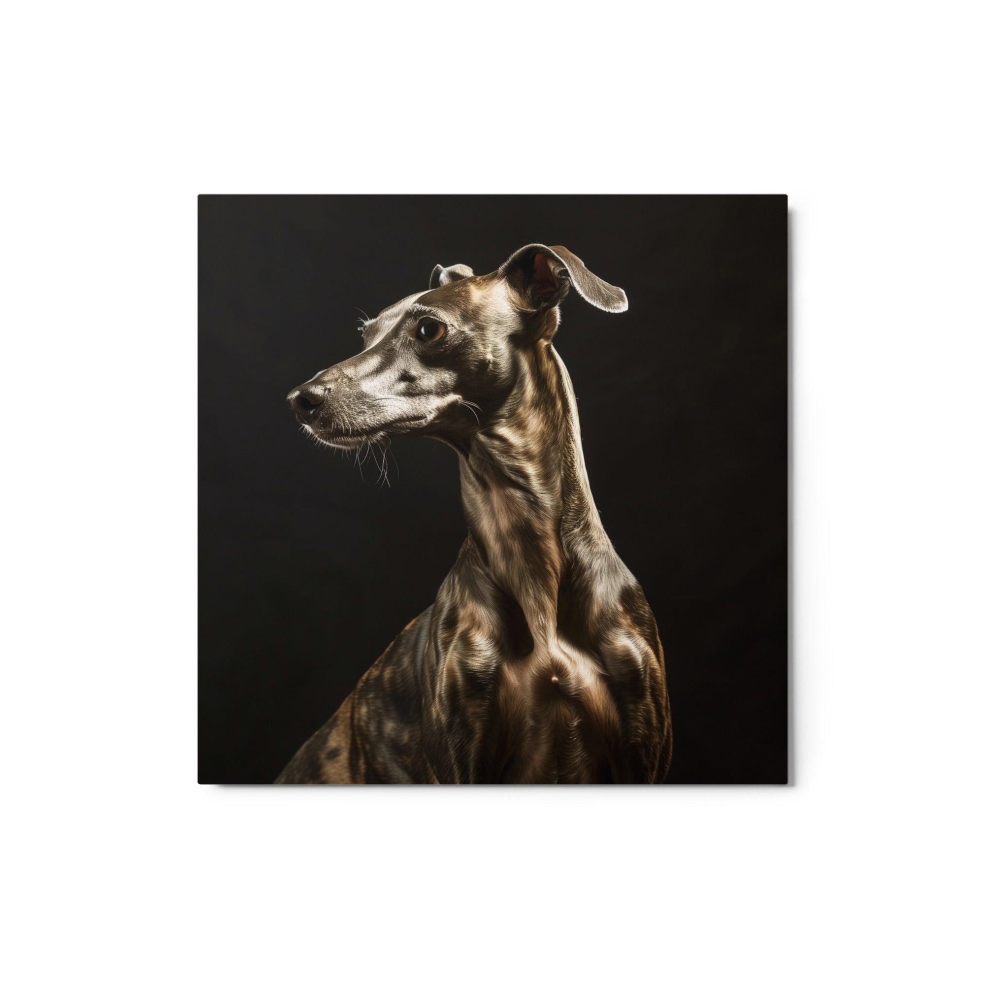 Italian Greyhound in Dramatic Lighting Studio Metal Poster - Oh Posters